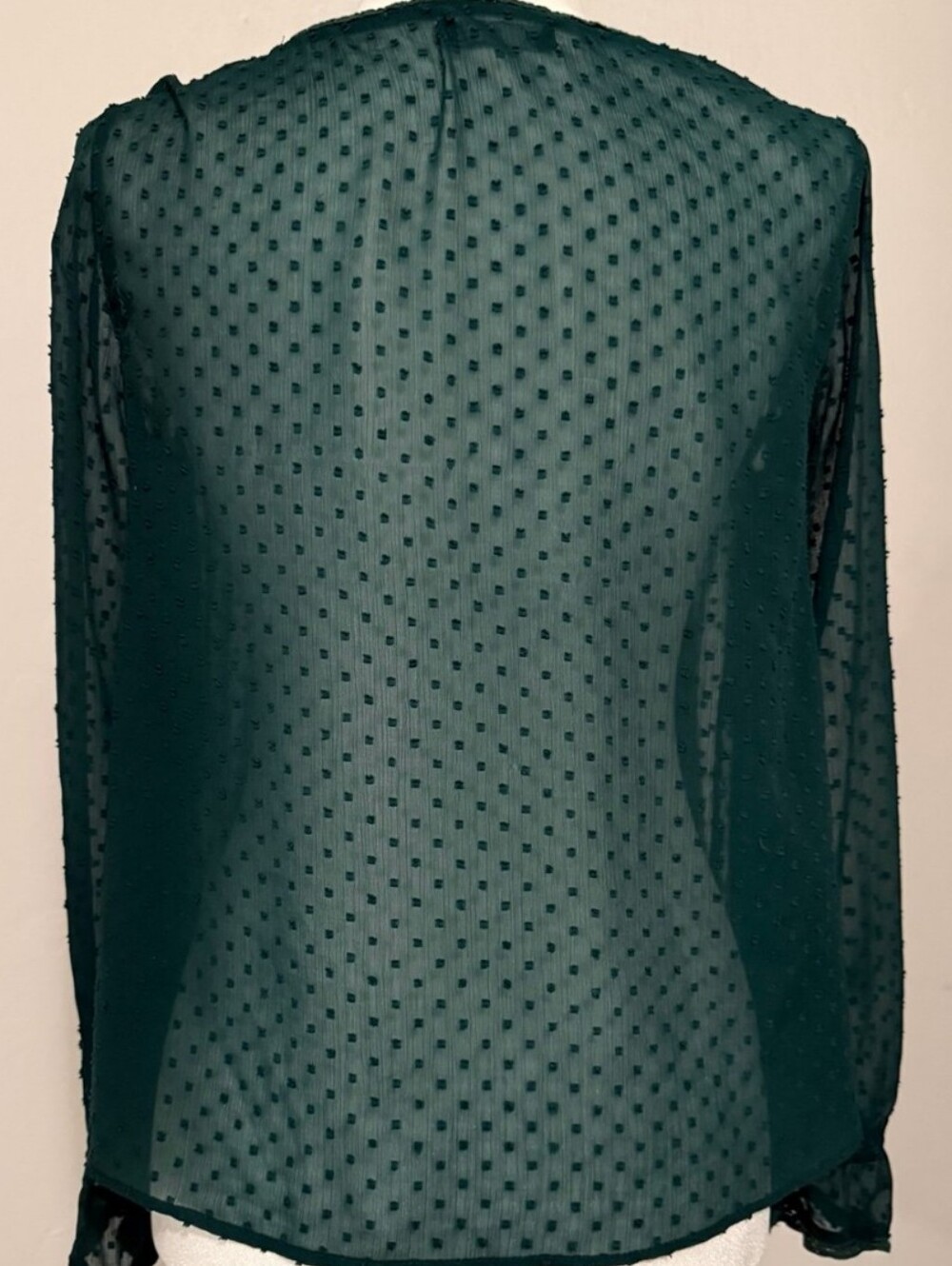 Zara Green Ruffle V-Neck Sheer Blouse - Picture 5 of 5